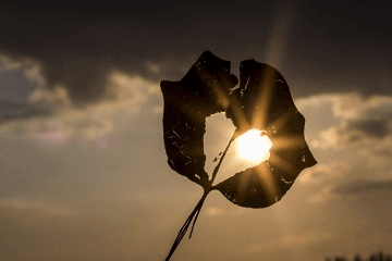 好聽簡潔的英文名網(wǎng)名