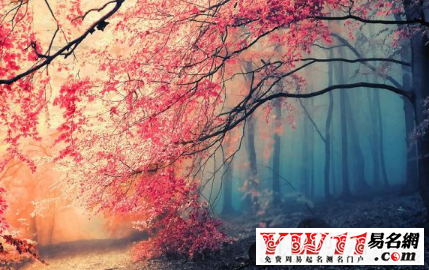經(jīng)典說(shuō)說(shuō)心情短語(yǔ)大全