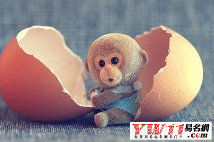 國外屬猴的名人，國外屬猴的名人有哪些