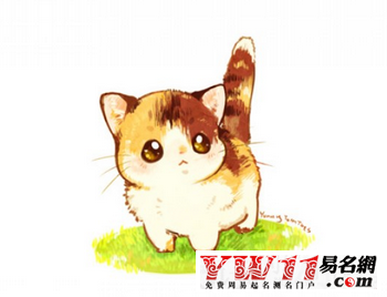 可愛的網絡游戲名字