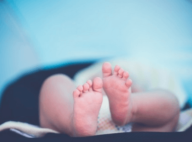 給寶寶起個好名字豬年