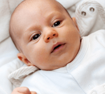 2020年五行屬什么？