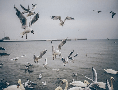 簡短有意義的個性簽名