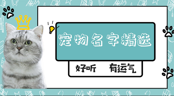 好聽(tīng)有運(yùn)氣的寵物名字精選