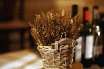 好聽(tīng)的烤魚(yú)店名字大全