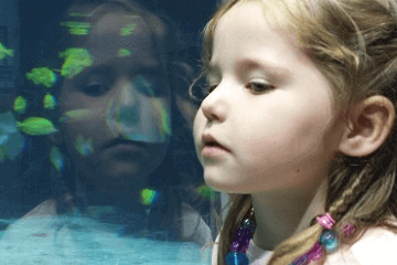 高雅好聽(tīng)有詩(shī)意的女孩名字兩個(gè)字